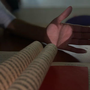 Meet your Posher, Moon